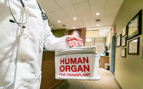 CBOS: 80 per cent of Poles agree on transplant organs after death