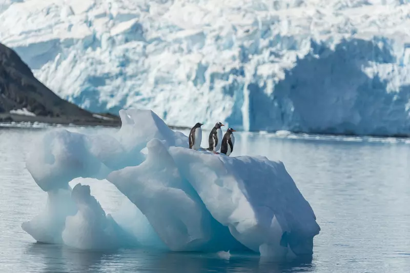 Pod lodami Antarktydy kryje się gigantyczny system wodny