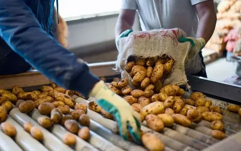 Germany: Highest increase in agricultural prices since 1961