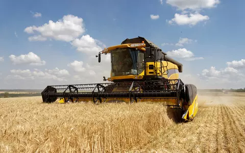 Grain shortage could cause food crisis in Ireland by the winter