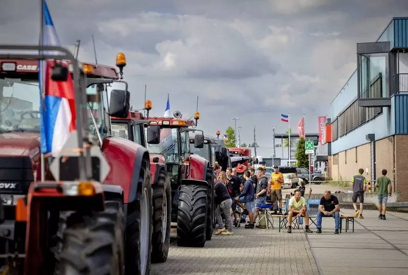 Holandia: Przez protesty rolników w części supermarketów zaczyna brakować nabiału i warzyw