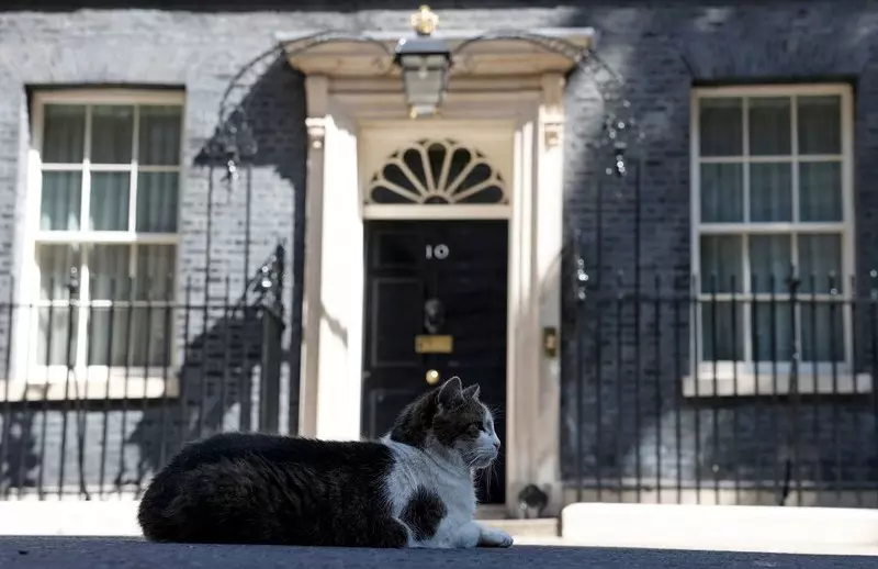 UK: Następca premiera Johnsona wyłoniony zostanie do 5 września