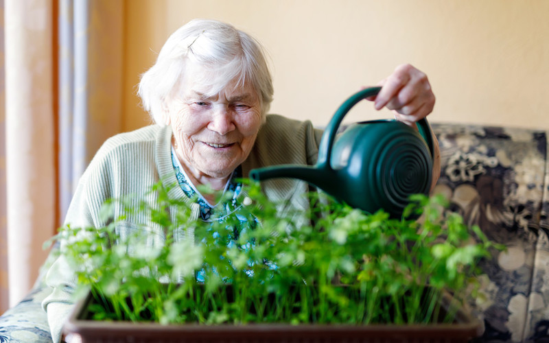 Germany: Record number of people in the 100+ age group