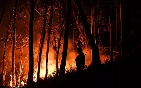 Europe heatwave: Deadly wildfires spread in Mediterranean