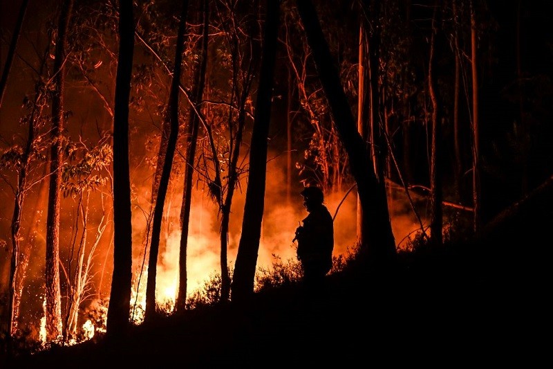 Fala upałów i pożarów na południu Europy. Ludzie ewakuują się z domów