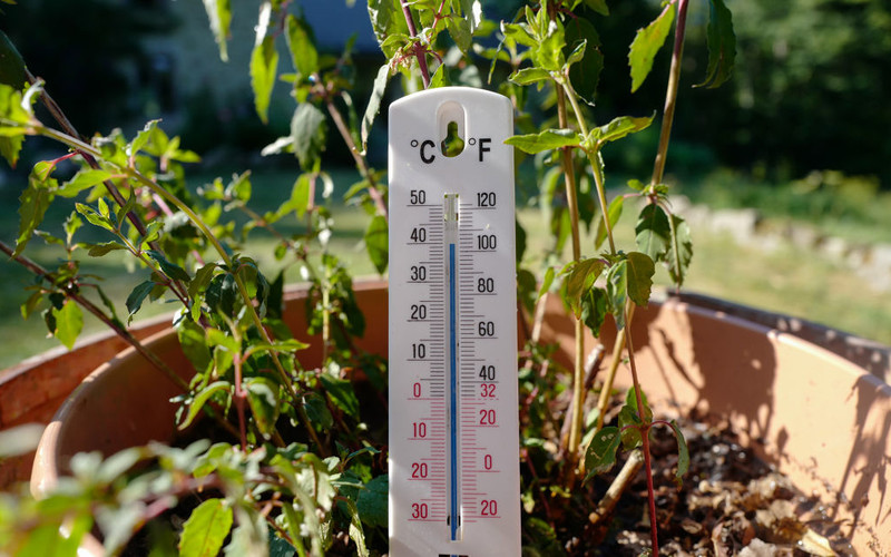 WMO: The heatwave in Europe will continue until the middle of next week