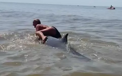 Dutch: A woman climbed onto the back of a whale. She was taken into custody and police are investiga