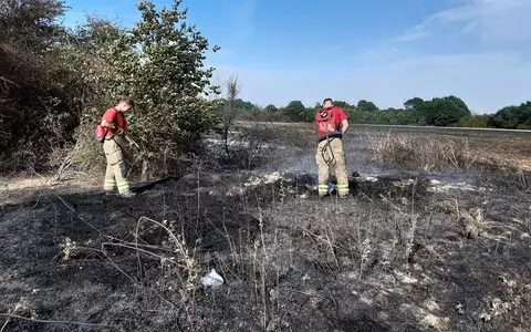 Wildfires in London and Surrey brought under control