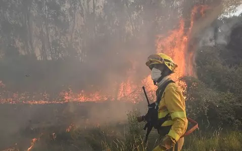 Prime Minister of the community of Castile and Leon: "Pyromaniac terrorists" are behind the fires