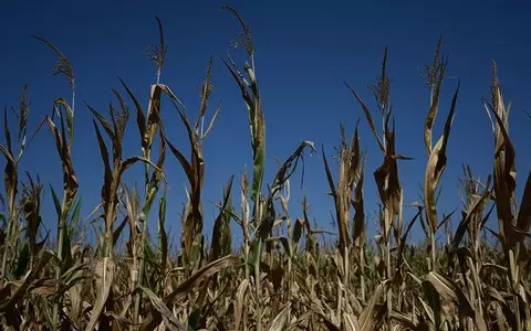 France: July is the driest month in over 50 years. Entire country covered by drought alert