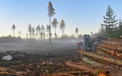 Scientists: There are fewer and fewer forests in the world. And more and more people