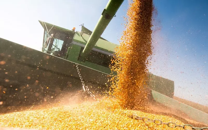 Hiszpania będzie sprowadzać ukraińską kukurydzę koleją z Polski