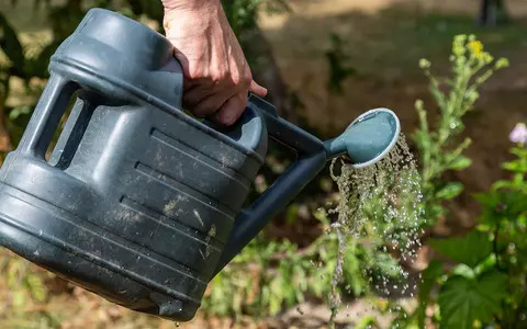 Yorkshire Water announces hosepipe ban from August 26