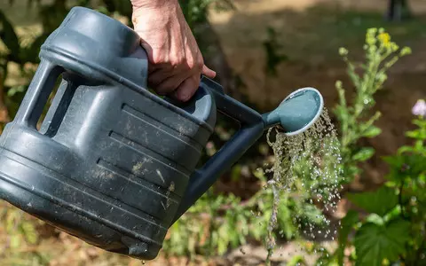UK: Firma Yorkshire Water ogłasza zakaz używania węży ogrodowych od 26 sierpnia