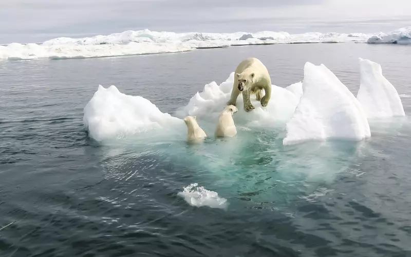 Study: The Arctic is warming four times faster than the rest of the Earth