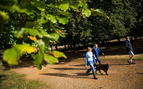 Synoptycy zapowiadają ciepłą i pogodną jesień dla mieszkańców Londynu