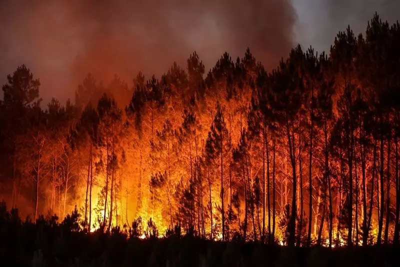 Raport: W 2021 roku spłonęło 9 mln hektarów lasów na świecie