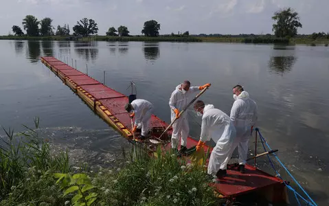 German media: Toxic algae may have contributed to the extinction of fish in the Oder River