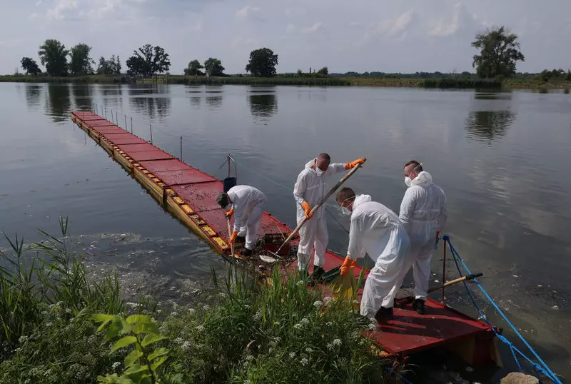 Niemieckie media: Toksyczne algi mogły przyczynić się do wyginięcia ryb w Odrze