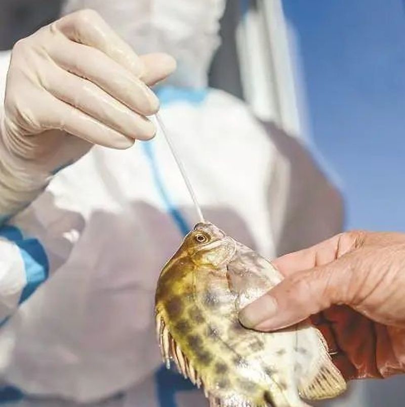China: Authorities examine caught fish and seafood for coronavirus