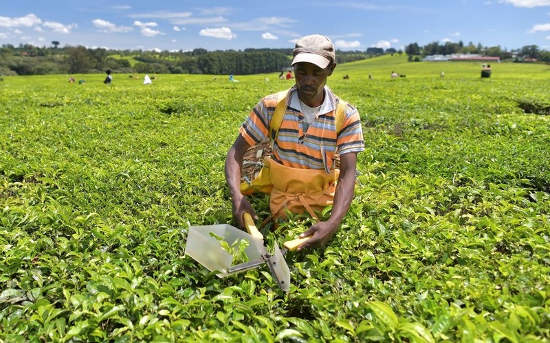 Kenyan tribes suing UK for £168,000,000,000 over colonial era