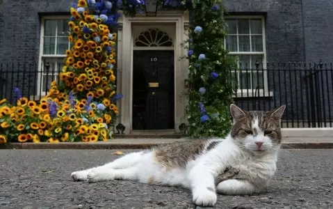 Twitter users delighted to see billboards announcing Larry the cat’s bid for PM