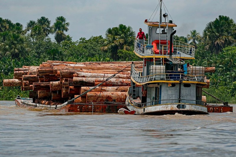 Reprezentanci rdzennych ludów Amazonii biją na alarm: Płuca świata umierają