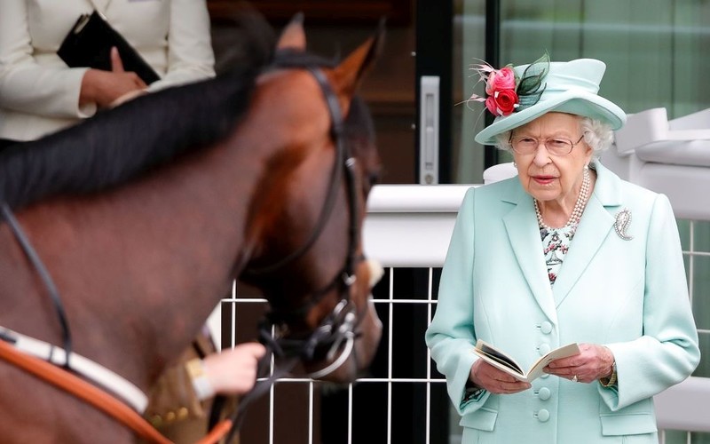 Queen Elizabeth II's horse won race in Baltimore