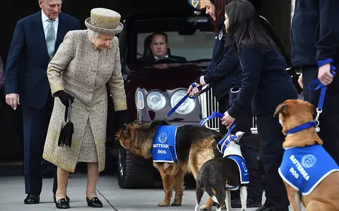 The charity, whose patron was Elizabeth II, has established a medal named after her