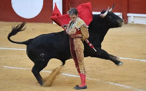 Spain: Record number of victims of "games" with bulls - 11 killed and nearly 400 injured