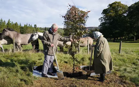 Charles III extends tree-planting initiative to pay tribute to Queen Elizabeth II in this way