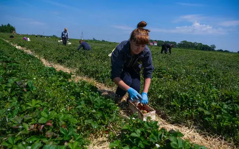 Every fourth Polish company employs workers from Ukraine