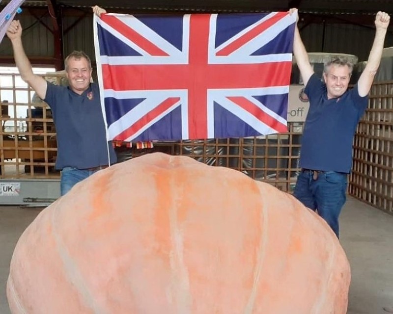 England: Britain's largest pumpkin has caused traffic chaos on the road
