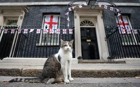 Larry the cat takes on fox outside No 10