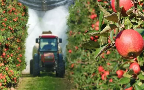 Poles examined whether - and how much pesticides - we eat with fruit