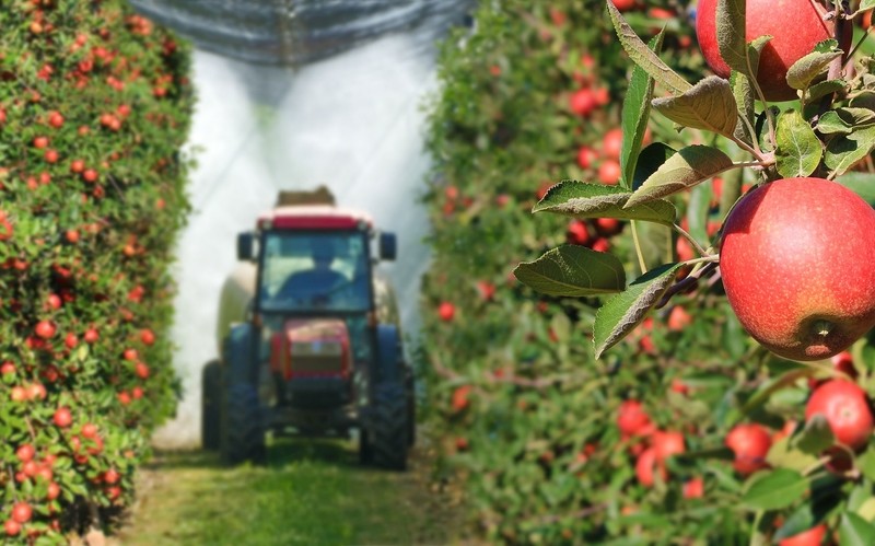Poles examined whether - and how much pesticides - we eat with fruit