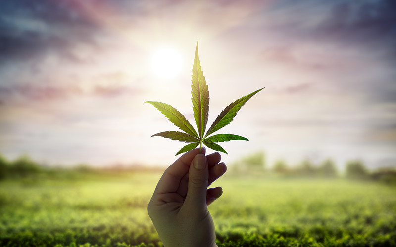 Uber Eats now delivers weed in Canada
