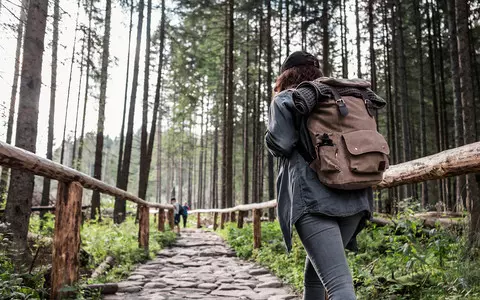 Report: Poles are planning trips to the mountains during the long November weekend