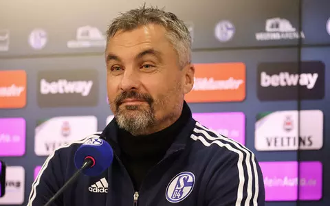 Bundesliga: Thomas Reis new coach of Schalke