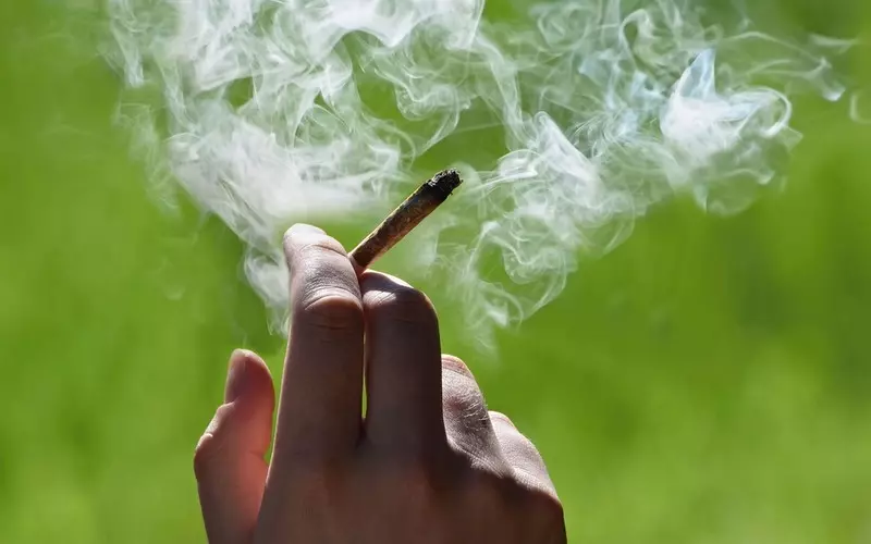 Niemcy planują legalizację marihuany do celów rekreacyjnych