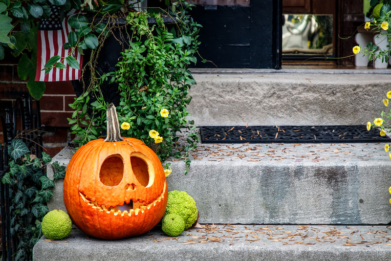 Plaga karaluchów zakłóciła Halloween w amerykańskim miasteczku