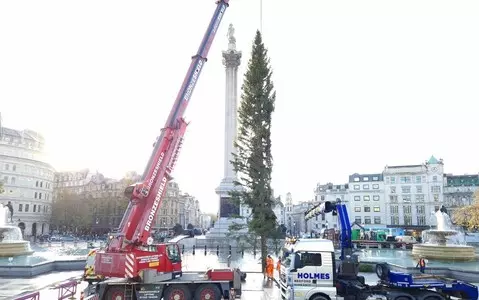 Christmas tree arrives in Trafalgar Square