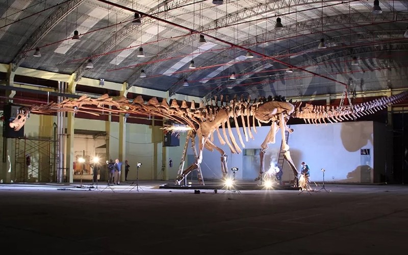 Patagotitan: Colossal dinosaur heading for UK display