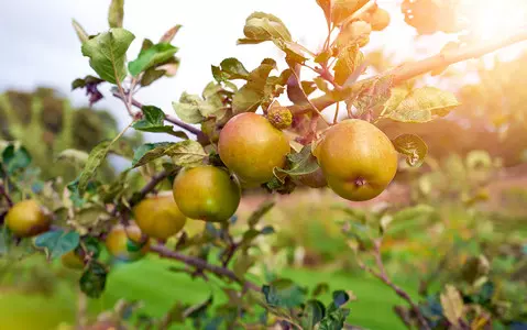 UK farmers making tiny profits as supermarkets boast record takings