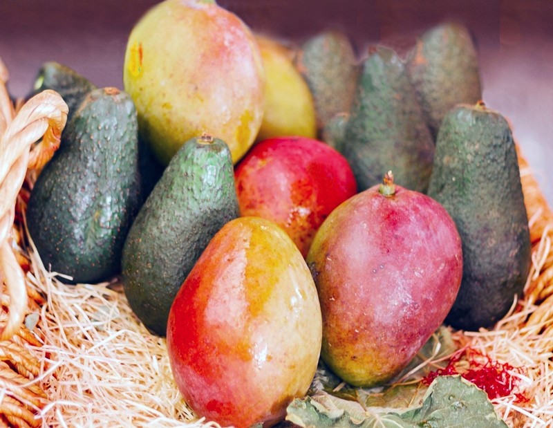 Efekt zmian klimatycznych we Włoszech: Coraz więcej krajowych bananów, mango i awokado