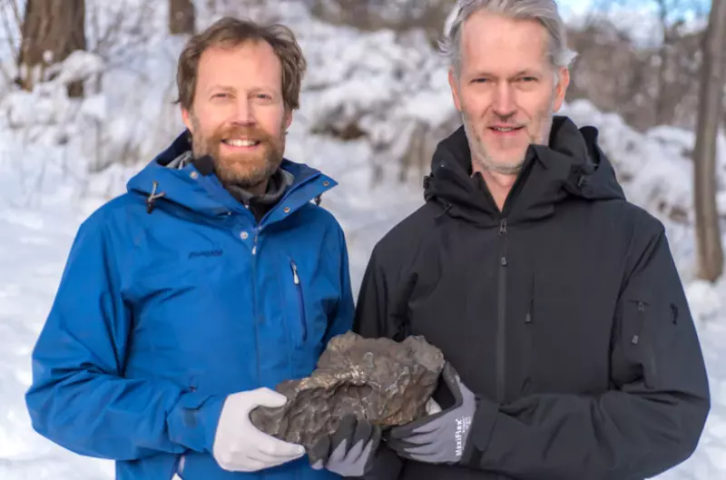 Szwedzki sąd: Meteoryt, który spadł na prywatny grunt, należy do znalazcy