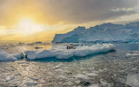 Scientists: We don't protect Antarctica enough