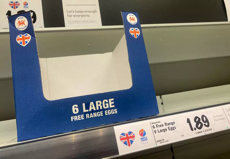 W brytyjskich supermarketach znów zaczyna brakować jajek. Trwa debata nad powodami
