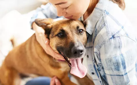 One in 10 thinking of giving up pets amid cost-of-living pressures