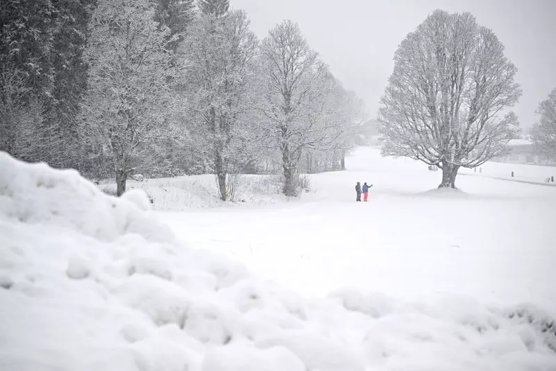 Snowstorm attack in Austria. Thousands of homes without electricity and road accidents